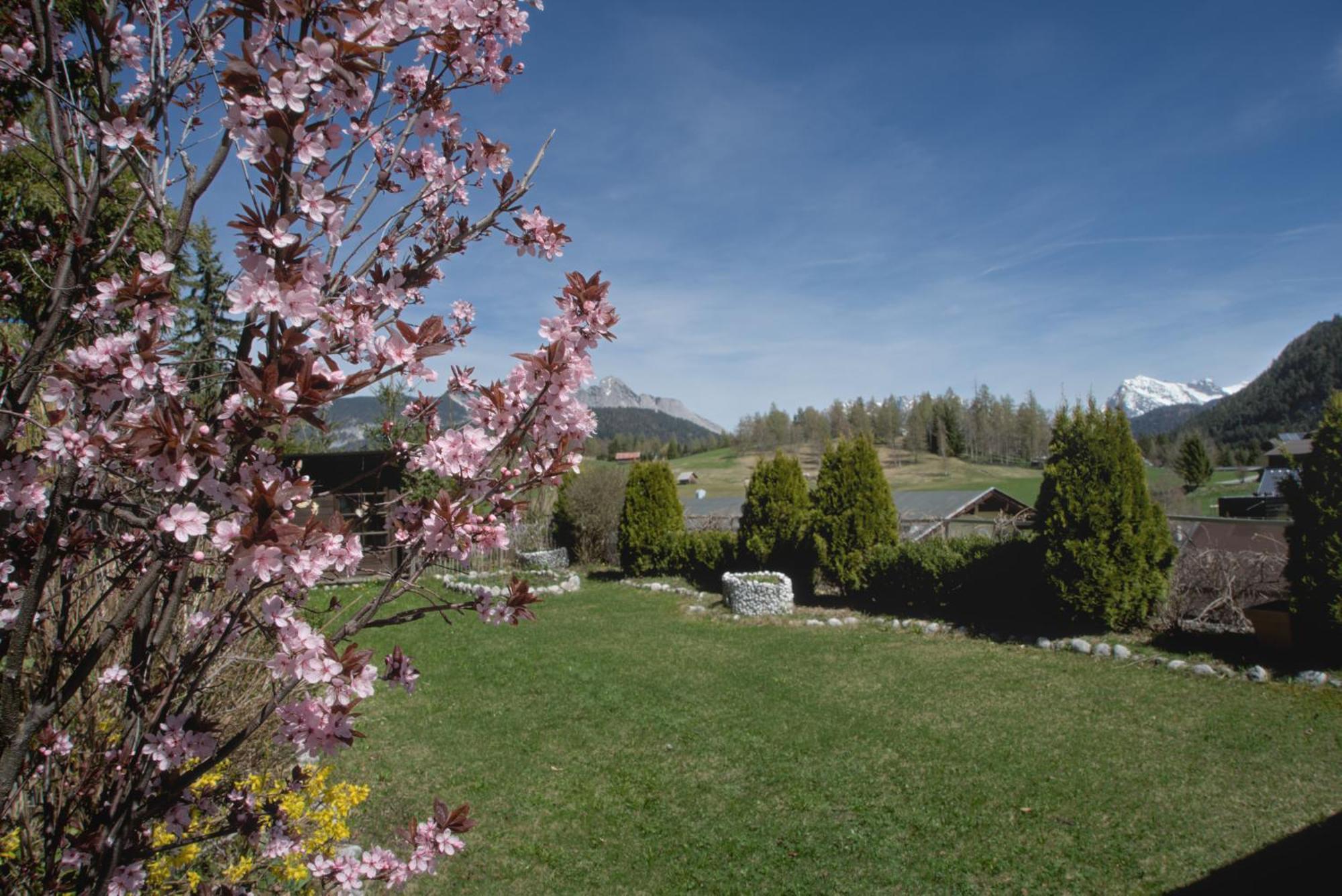 Appartamento Haus Tannengruen Seefeld in Tirol Esterno foto